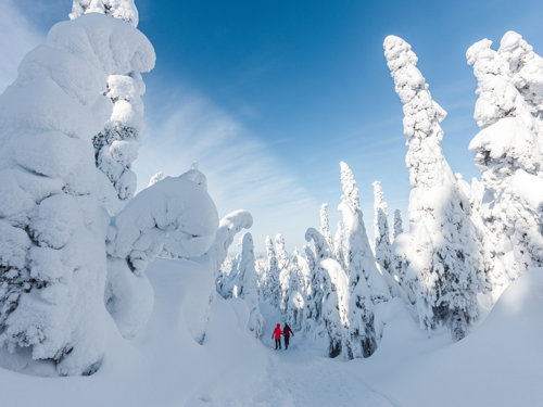 OTl-Gouverneur-Saguenay-monts-valin-hiver